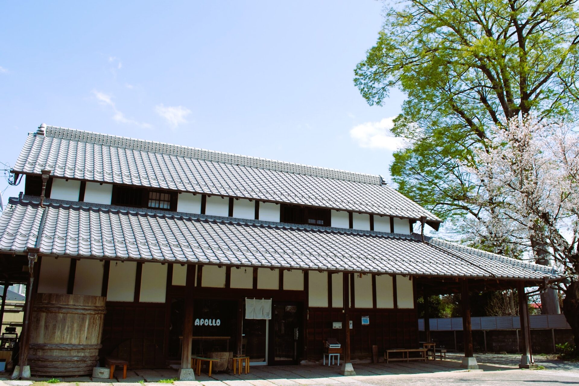 のじま整体院
